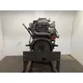 INTERNATIONAL DT 466E Engine Assembly thumbnail 4