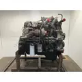 INTERNATIONAL DT 466E Engine Assembly thumbnail 5