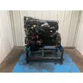INTERNATIONAL DT 466E Engine Assembly thumbnail 3