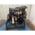 INTERNATIONAL DT 466E Engine Assembly thumbnail 4