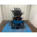 INTERNATIONAL DT 466E Engine Assembly thumbnail 5