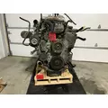 INTERNATIONAL DT 466E Engine Assembly thumbnail 2