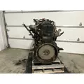 INTERNATIONAL DT 466E Engine Assembly thumbnail 4