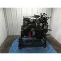 INTERNATIONAL DT 466E Engine Assembly thumbnail 4