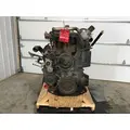 INTERNATIONAL DT 466E Engine Assembly thumbnail 2