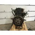 INTERNATIONAL DT 466E Engine Assembly thumbnail 5