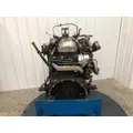 INTERNATIONAL DT 466E Engine Assembly thumbnail 5