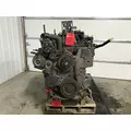 INTERNATIONAL DT 466E Engine Assembly thumbnail 2