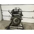 INTERNATIONAL DT 466E Engine Assembly thumbnail 4