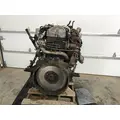 INTERNATIONAL DT 466E Engine Assembly thumbnail 5