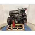 INTERNATIONAL DT 466E Engine Assembly thumbnail 6