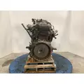 INTERNATIONAL DT 466E Engine Assembly thumbnail 10