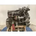 INTERNATIONAL DT 466E Engine Assembly thumbnail 4