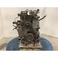 INTERNATIONAL DT 466E Engine Assembly thumbnail 6