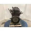 INTERNATIONAL DT 466E Engine Assembly thumbnail 10