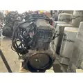 INTERNATIONAL DT 466E Engine Assembly thumbnail 16