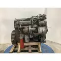 INTERNATIONAL DT 466E Engine Assembly thumbnail 4