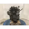 INTERNATIONAL DT 466E Engine Assembly thumbnail 6