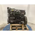 INTERNATIONAL DT 466E Engine Assembly thumbnail 8