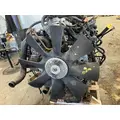 INTERNATIONAL DT 466E Engine Assembly thumbnail 11