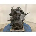 INTERNATIONAL DT 466E Engine Assembly thumbnail 3