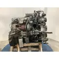 INTERNATIONAL DT 466E Engine Assembly thumbnail 5