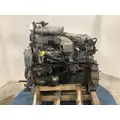 INTERNATIONAL DT 466E Engine Assembly thumbnail 6
