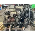 INTERNATIONAL DT 466E Engine Assembly thumbnail 7