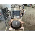 INTERNATIONAL DT 466E Engine Assembly thumbnail 11