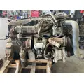 INTERNATIONAL DT 466E Engine Assembly thumbnail 9