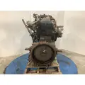 INTERNATIONAL DT 466E Engine Assembly thumbnail 10