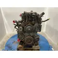 INTERNATIONAL DT 466E Engine Assembly thumbnail 2