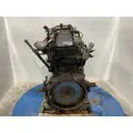 INTERNATIONAL DT 466E Engine Assembly thumbnail 5