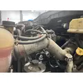 INTERNATIONAL DT 466E Engine Assembly thumbnail 6
