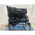 INTERNATIONAL DT 466E Engine Assembly thumbnail 5