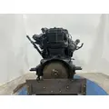 INTERNATIONAL DT 466E Engine Assembly thumbnail 6