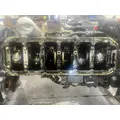 INTERNATIONAL DT 466E Engine Assembly thumbnail 25