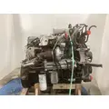 INTERNATIONAL DT 466E Engine Assembly thumbnail 8