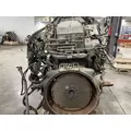 INTERNATIONAL DT 466E Engine Assembly thumbnail 8