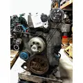INTERNATIONAL DT 466E Engine Assembly thumbnail 7