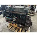 INTERNATIONAL DT 466E Engine Assembly thumbnail 3