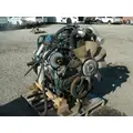 INTERNATIONAL DT 466E Engine Assembly thumbnail 6