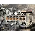 INTERNATIONAL DT 466NGD Engine Assembly thumbnail 5