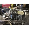 INTERNATIONAL DT 466NGD Engine Assembly thumbnail 3