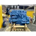 INTERNATIONAL DT 466NGD Engine Assembly thumbnail 4