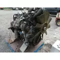 INTERNATIONAL DT 530 Engine Assembly thumbnail 3