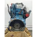 INTERNATIONAL DT466 EGR Engine Assembly thumbnail 6