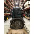 INTERNATIONAL DT466 EGR Engine Assembly thumbnail 2