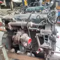 INTERNATIONAL DT466 EGR Engine Assembly thumbnail 16