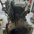 INTERNATIONAL DT466 EGR Engine Assembly thumbnail 24